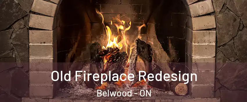  Old Fireplace Redesign Belwood - ON