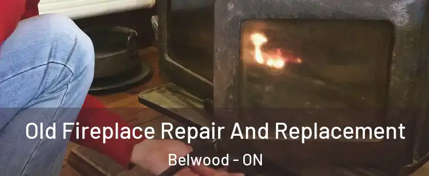  Old Fireplace Repair And Replacement Belwood - ON