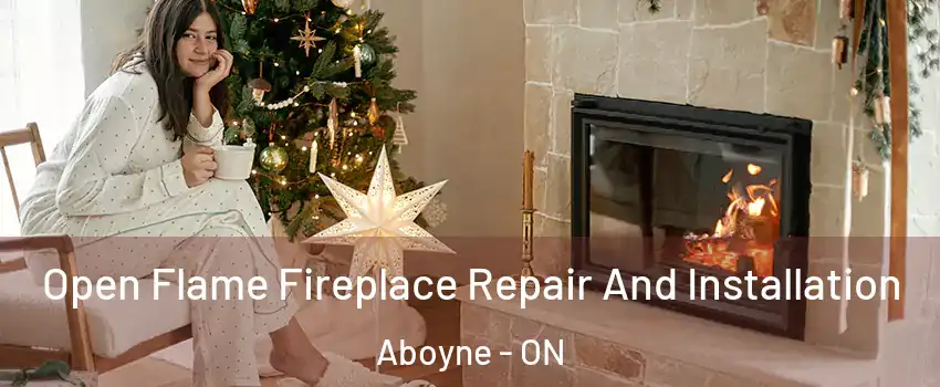  Open Flame Fireplace Repair And Installation Aboyne - ON