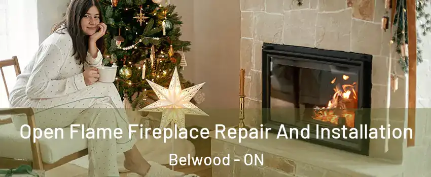  Open Flame Fireplace Repair And Installation Belwood - ON