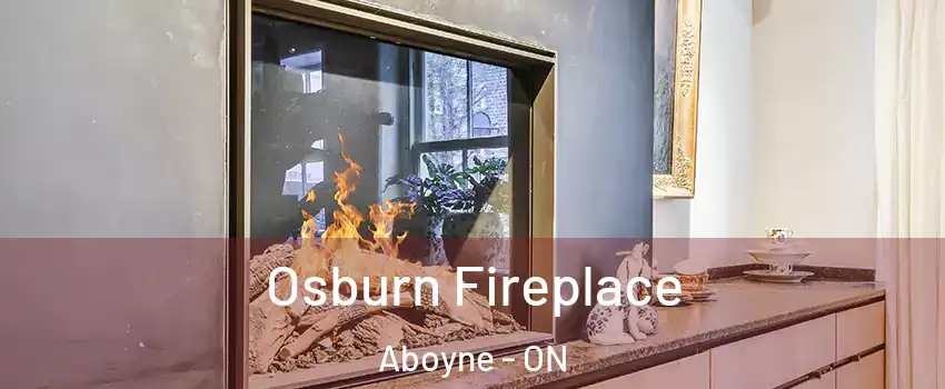  Osburn Fireplace Aboyne - ON