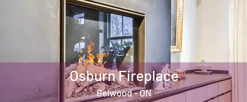  Osburn Fireplace Belwood - ON