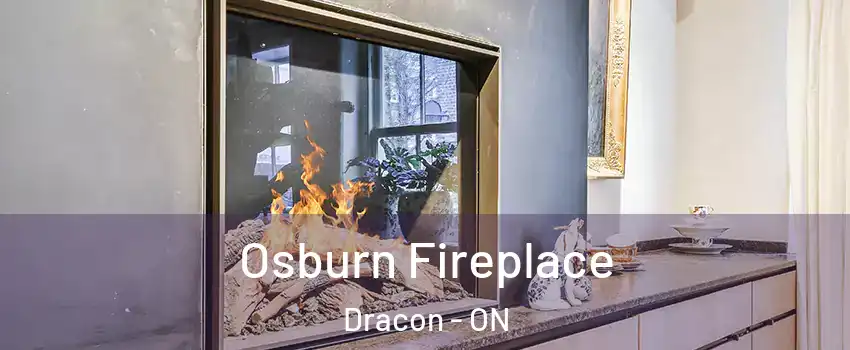  Osburn Fireplace Dracon - ON