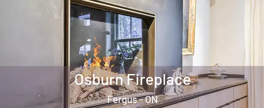  Osburn Fireplace Fergus - ON