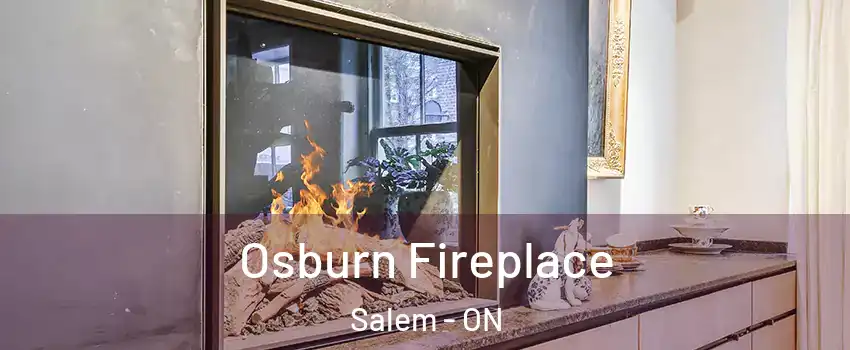  Osburn Fireplace Salem - ON