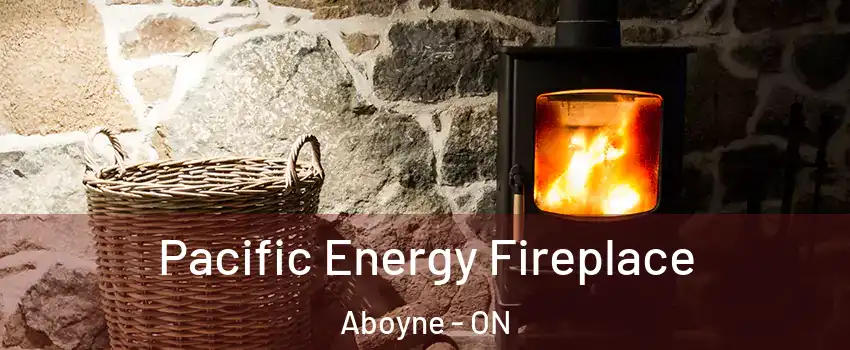  Pacific Energy Fireplace Aboyne - ON