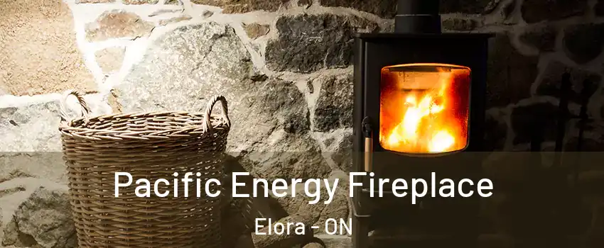  Pacific Energy Fireplace Elora - ON
