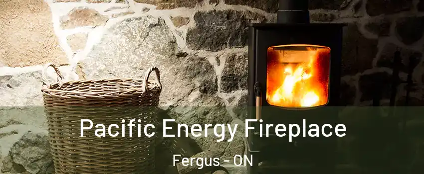  Pacific Energy Fireplace Fergus - ON