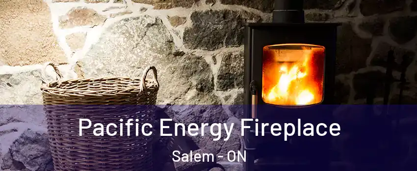  Pacific Energy Fireplace Salem - ON