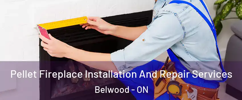  Pellet Fireplace Installation And Repair Services Belwood - ON