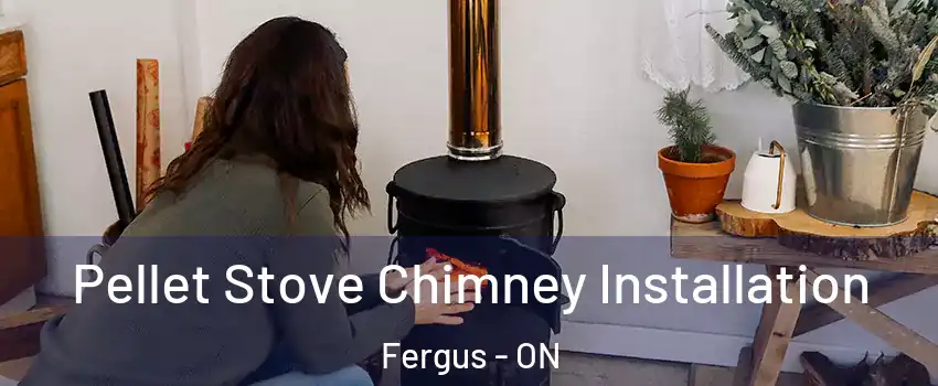  Pellet Stove Chimney Installation Fergus - ON