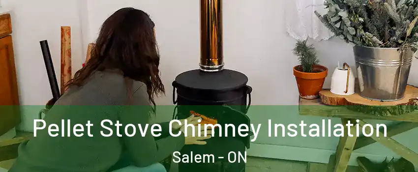  Pellet Stove Chimney Installation Salem - ON