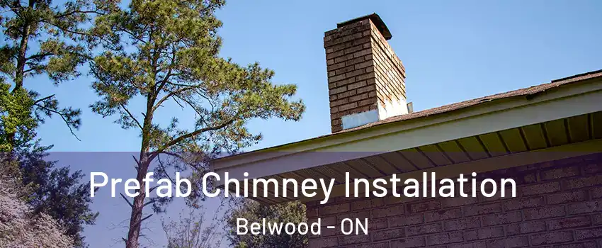  Prefab Chimney Installation Belwood - ON