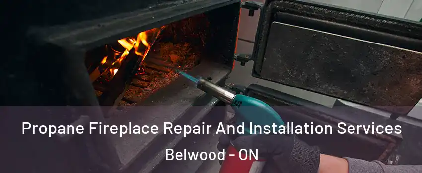  Propane Fireplace Repair And Installation Services Belwood - ON