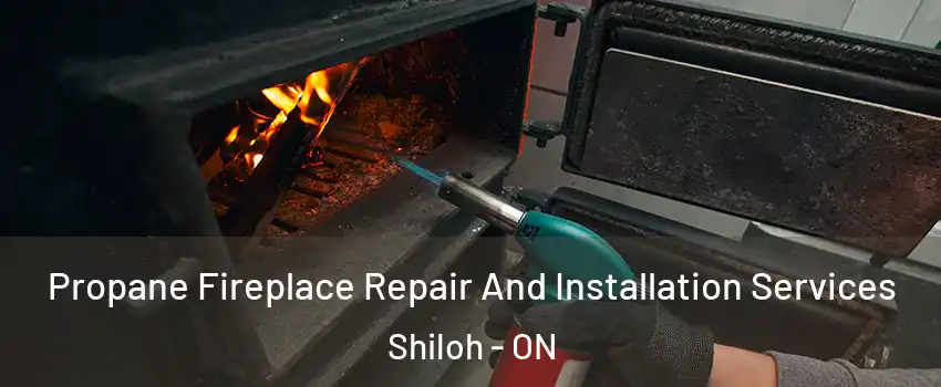  Propane Fireplace Repair And Installation Services Shiloh - ON