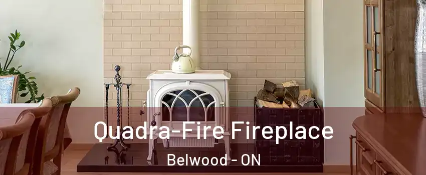  Quadra-Fire Fireplace Belwood - ON