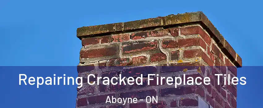  Repairing Cracked Fireplace Tiles Aboyne - ON