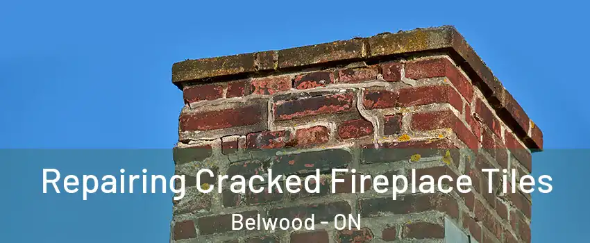  Repairing Cracked Fireplace Tiles Belwood - ON