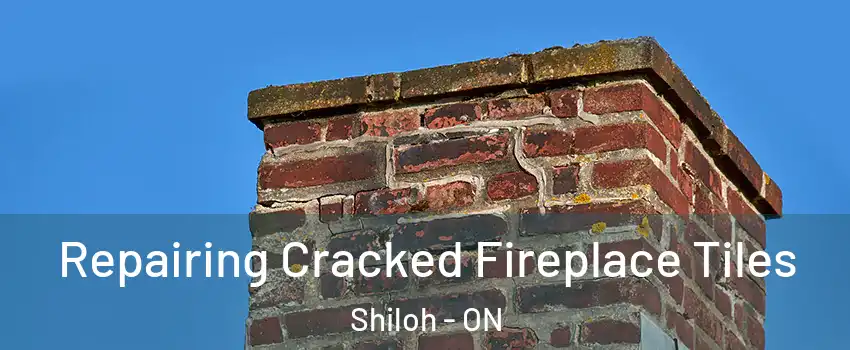  Repairing Cracked Fireplace Tiles Shiloh - ON