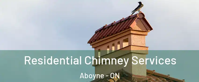  Residential Chimney Services Aboyne - ON