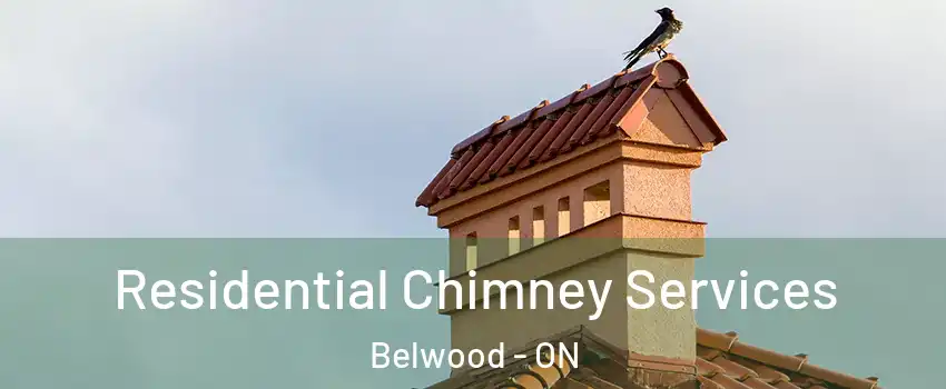  Residential Chimney Services Belwood - ON