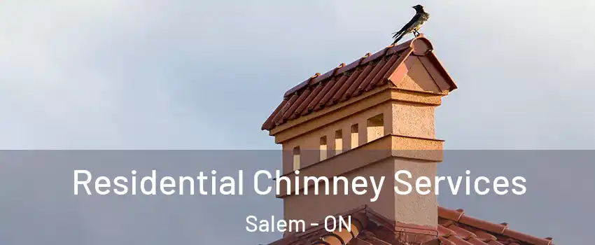  Residential Chimney Services Salem - ON