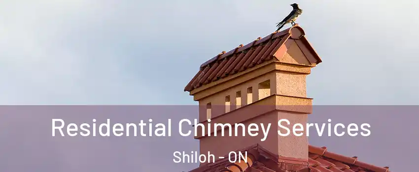  Residential Chimney Services Shiloh - ON
