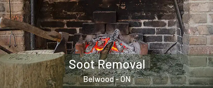  Soot Removal Belwood - ON