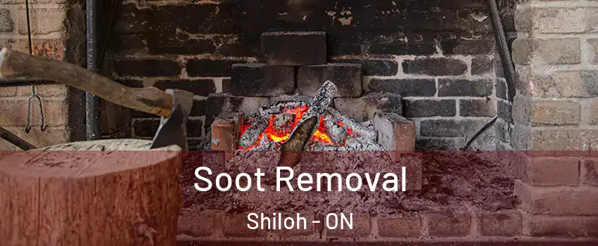  Soot Removal Shiloh - ON