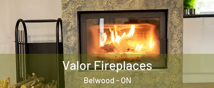  Valor Fireplaces Belwood - ON