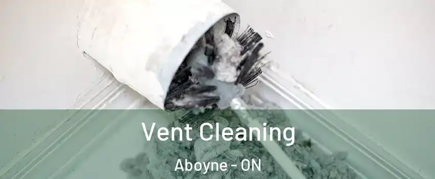  Vent Cleaning Aboyne - ON