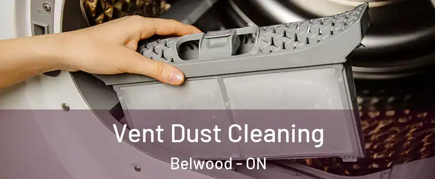  Vent Dust Cleaning Belwood - ON