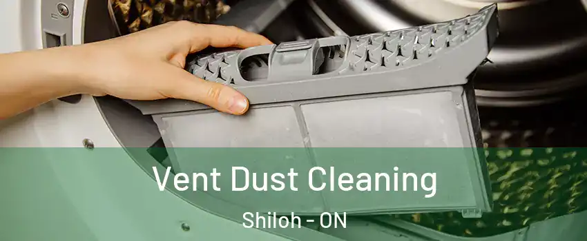  Vent Dust Cleaning Shiloh - ON