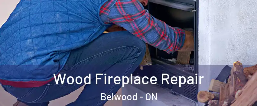  Wood Fireplace Repair Belwood - ON