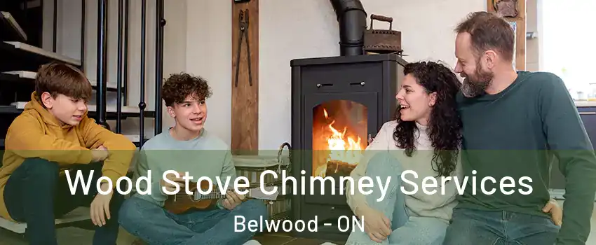  Wood Stove Chimney Services Belwood - ON