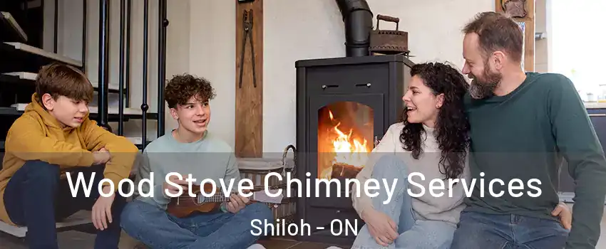  Wood Stove Chimney Services Shiloh - ON