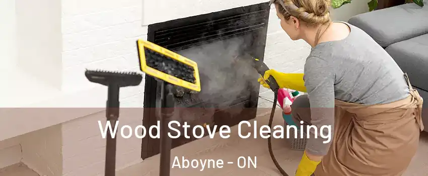  Wood Stove Cleaning Aboyne - ON