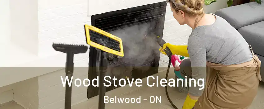  Wood Stove Cleaning Belwood - ON