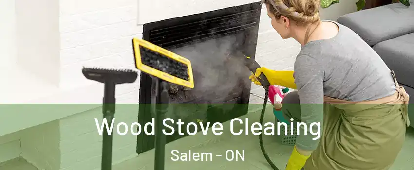  Wood Stove Cleaning Salem - ON