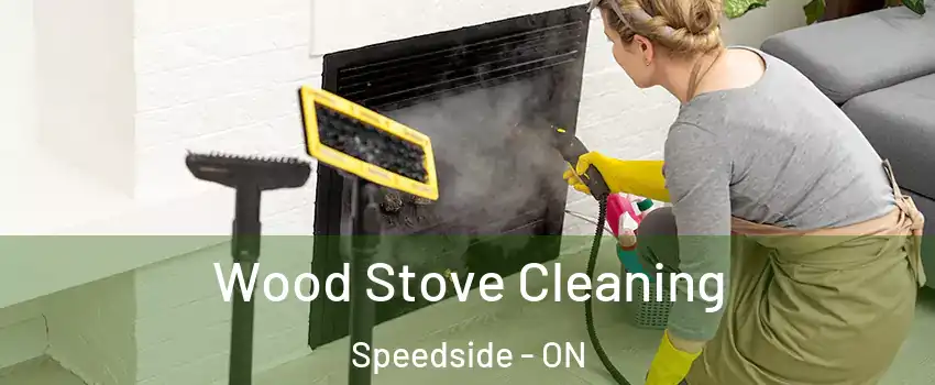  Wood Stove Cleaning Speedside - ON