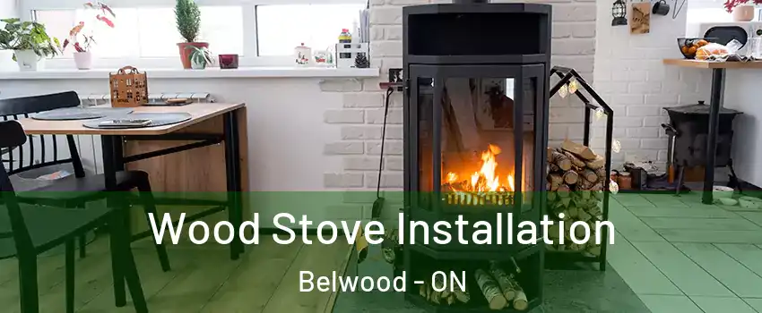  Wood Stove Installation Belwood - ON