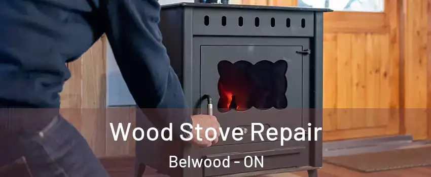  Wood Stove Repair Belwood - ON
